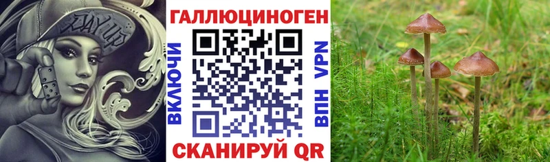 Галлюциногенные грибы прущие грибы  Купить закладки  Россошь 